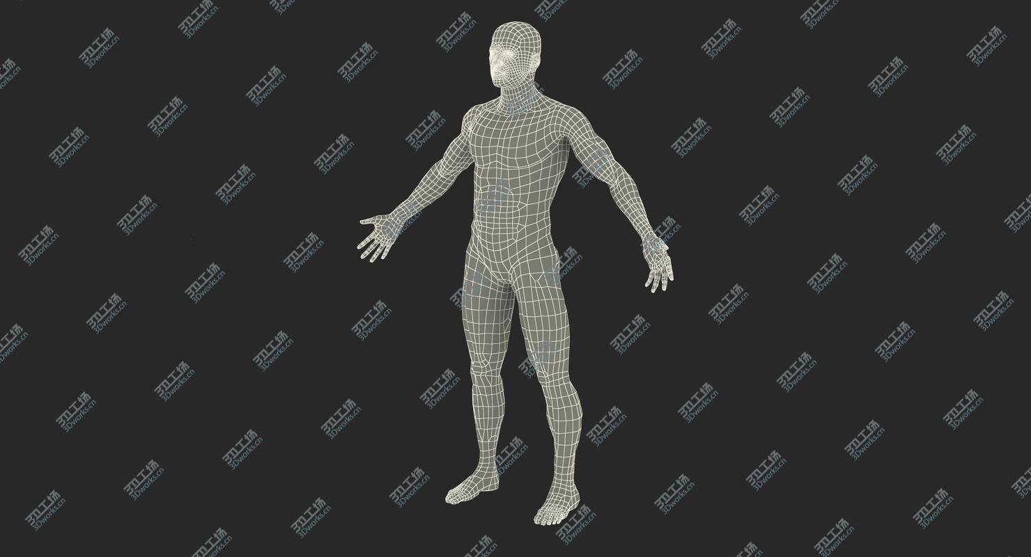 images/goods_img/20210319/Anatomy Male Muscular System Rigged model/5.jpg